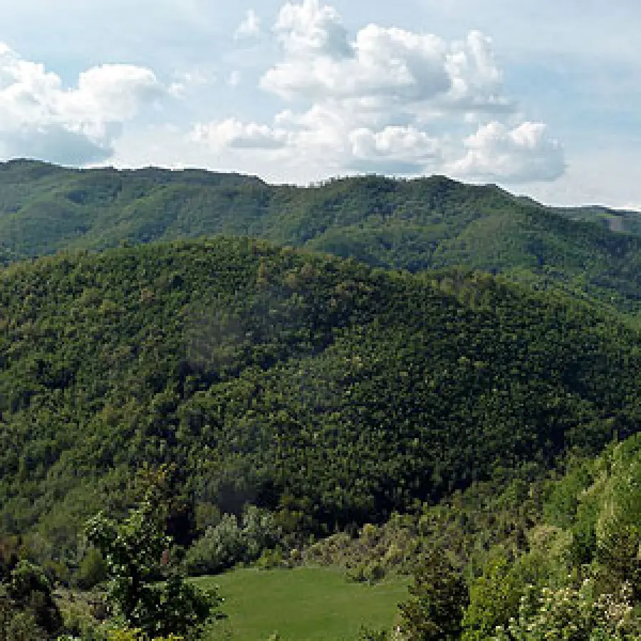 Vacanze in famiglia? In agriturismo si può!