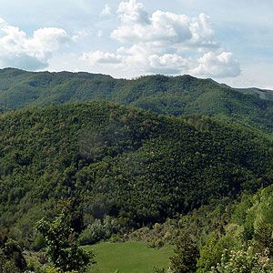 Vacanze in famiglia? In agriturismo si può!