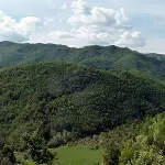 Vacanze in famiglia? In agriturismo si può!