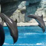 Trascorri una vacanza in riviera romagnola