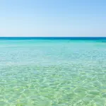 Cosa fare e vedere a Porto Cesareo