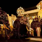 Anurādhapura, Sigiriya e Polonnaruwa, gioielli archeologici incastonati nella giungla