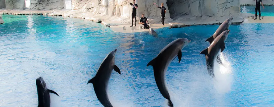 I tanti Parchi dell'Emilia Romagna divertimento su misura per ogni età