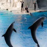 I tanti Parchi dell'Emilia Romagna divertimento su misura per ogni età