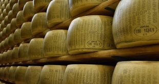 parmigiano reggiano