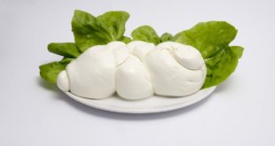 mozzarella bufala